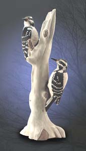 Hairy Woodpecker 3181